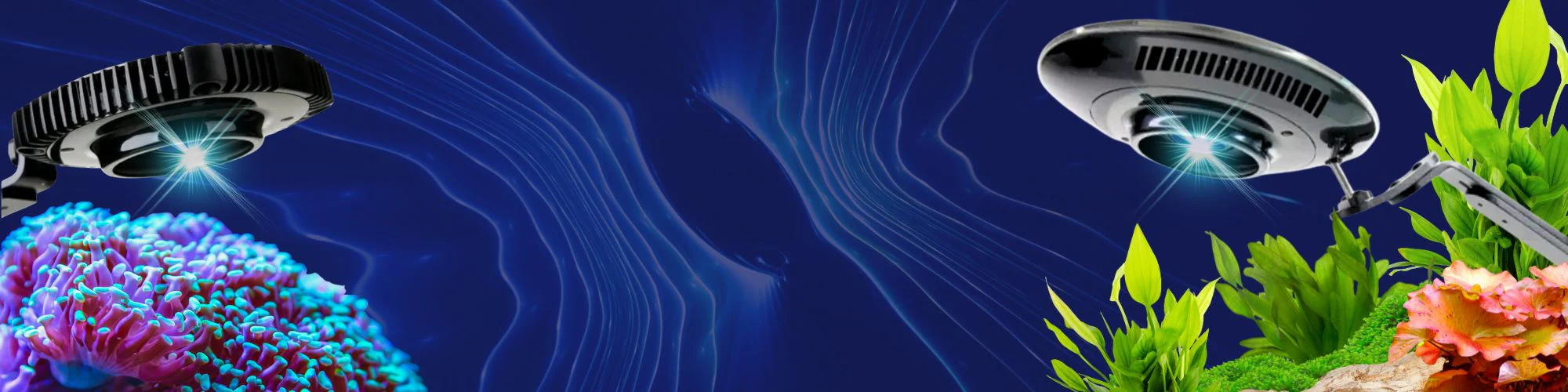 Coburg Aquarium Coburg Aquarium Coburg